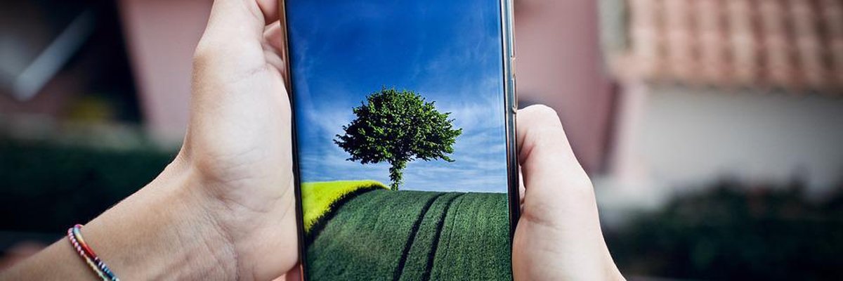 Ein Blick in die Obstabteilung einer Supermarktes